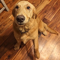 Photo of Snickers