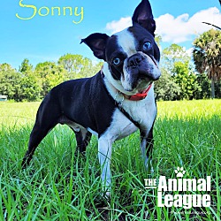 Photo of Sonny