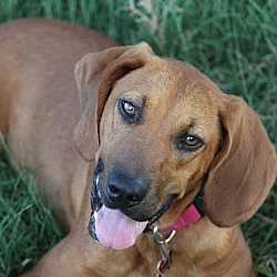 Thumbnail photo of Birdie~adopted! #4