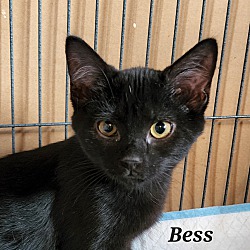 Thumbnail photo of Bess #1