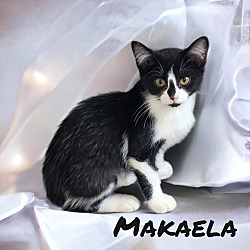 Photo of Makaela