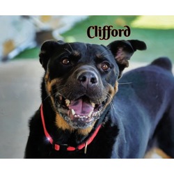 Photo of Clifford