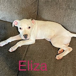 Photo of Eliza