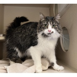 Photo of JASPER
