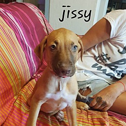 Photo of Jissy
