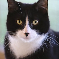 Thumbnail photo of Bacon #1