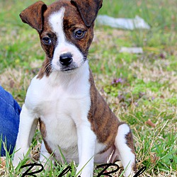 Thumbnail photo of Baby Babs~adopted! #1
