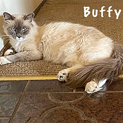 Thumbnail photo of Buffy #2