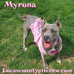 Thumbnail photo of Myrona #3