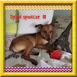 Thumbnail photo of DYLAN SPENCER III #2