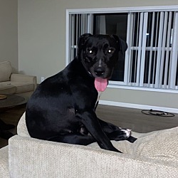Photo of Luna