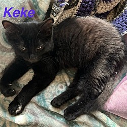 Photo of Keke