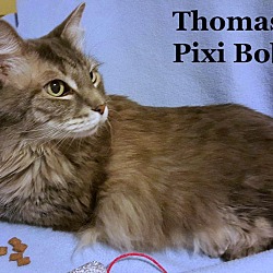 Thumbnail photo of Thomas 2016 #4