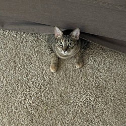 Photo of Eva
