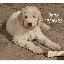 Photo of Barty