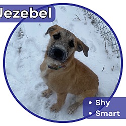 Photo of Jezebel