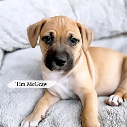 Thumbnail photo of Tim McGraw #1