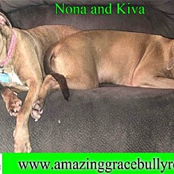 Thumbnail photo of Kiva and Nona #2