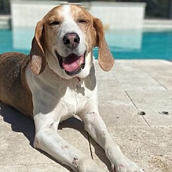 Photo of Chevy