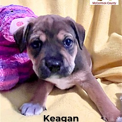 Thumbnail photo of Keagan #1