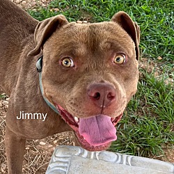 Thumbnail photo of Jimmy #1