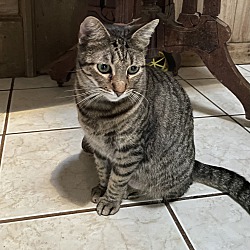 Photo of Augie