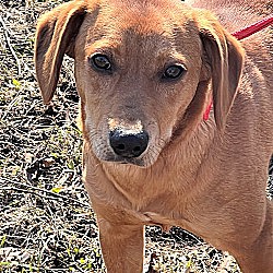 Photo of Abigail 23 lbs of fun!