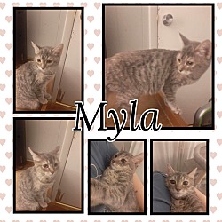 Thumbnail photo of Myla #1