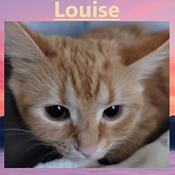 Photo of Louise