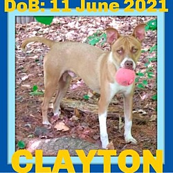 Photo of CLAYTON