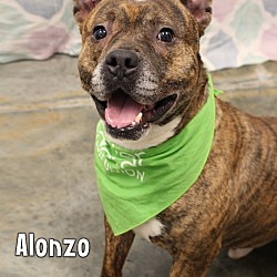 Thumbnail photo of Alonzo #1