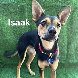 Photo of Isaak