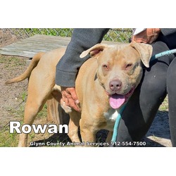 Photo of ROWAN