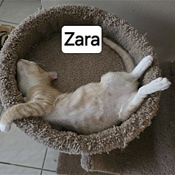 Photo of Zara