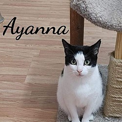 Photo of Ayanna