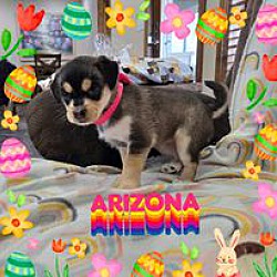 Thumbnail photo of Arizona #2