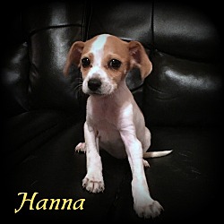 Thumbnail photo of Hanna #1