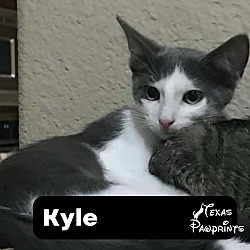 Photo of Kyle