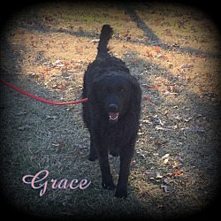 Thumbnail photo of Grace #2