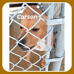 Photo of CARSON