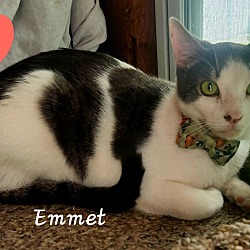 Photo of Emmett 6787