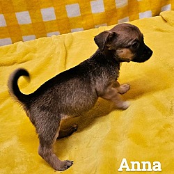 Thumbnail photo of Anna #2