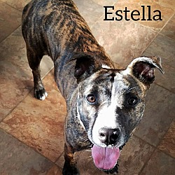 Thumbnail photo of Estella "Stella" #2