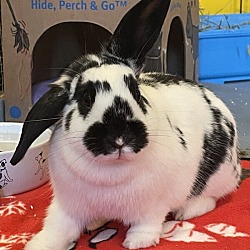 Photo of April Bonded To May