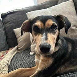 Photo of Pippi