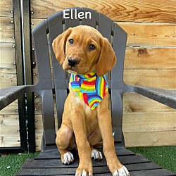 Photo of Ellen