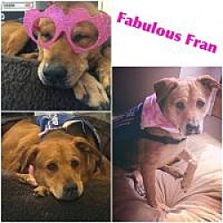 Thumbnail photo of Fran #2
