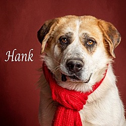 Photo of HANK