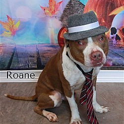 Photo of Roane