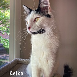 Thumbnail photo of Keiko #2